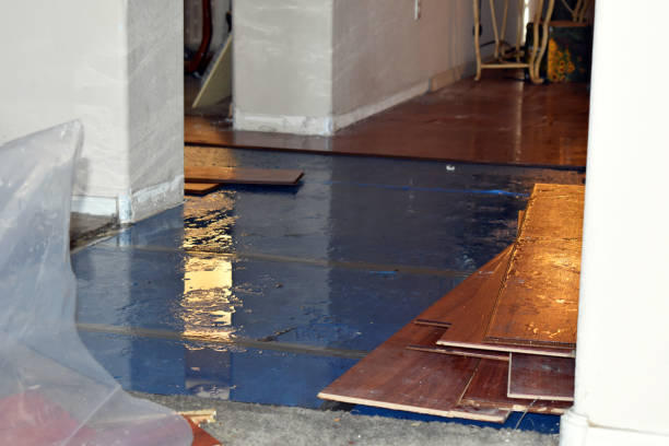 Professional Burst Pipe Cleanup technician working in Chappell Hill, TX